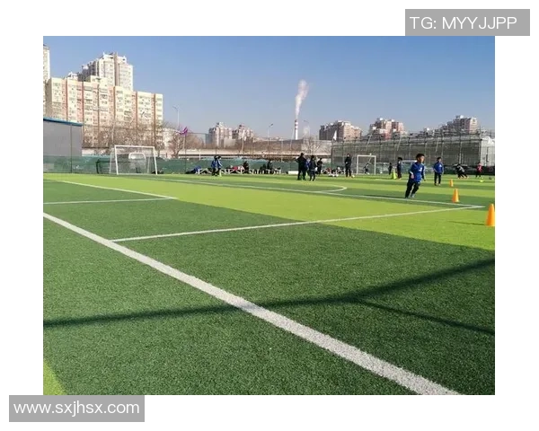 2011足球大电影带你领略激情四射的绿茵场上梦想与奋斗的故事