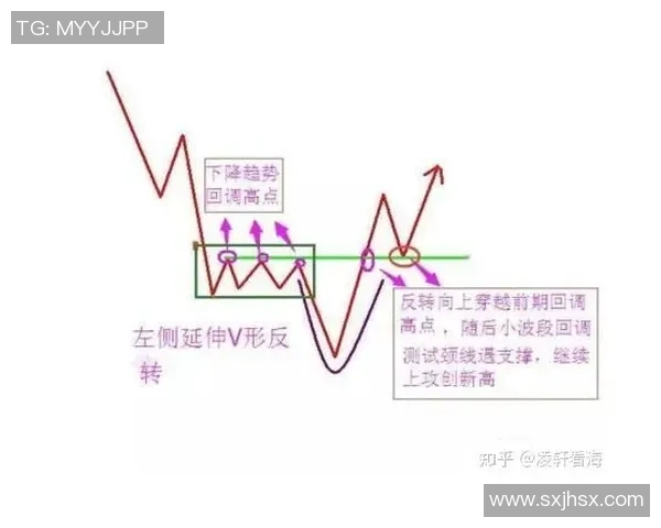 打篮球时圆柱体的定义与应用解析 打篮球时圆柱体的定义与应用解析