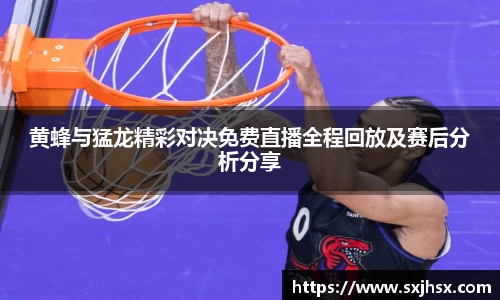 乐鱼电竞平台