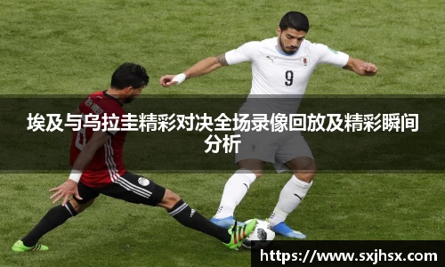 乐鱼电竞官网
